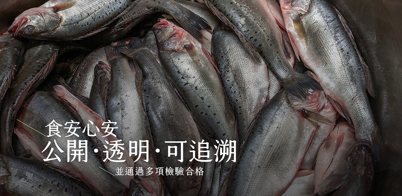 100％鱸魚原湯 內容圖 6